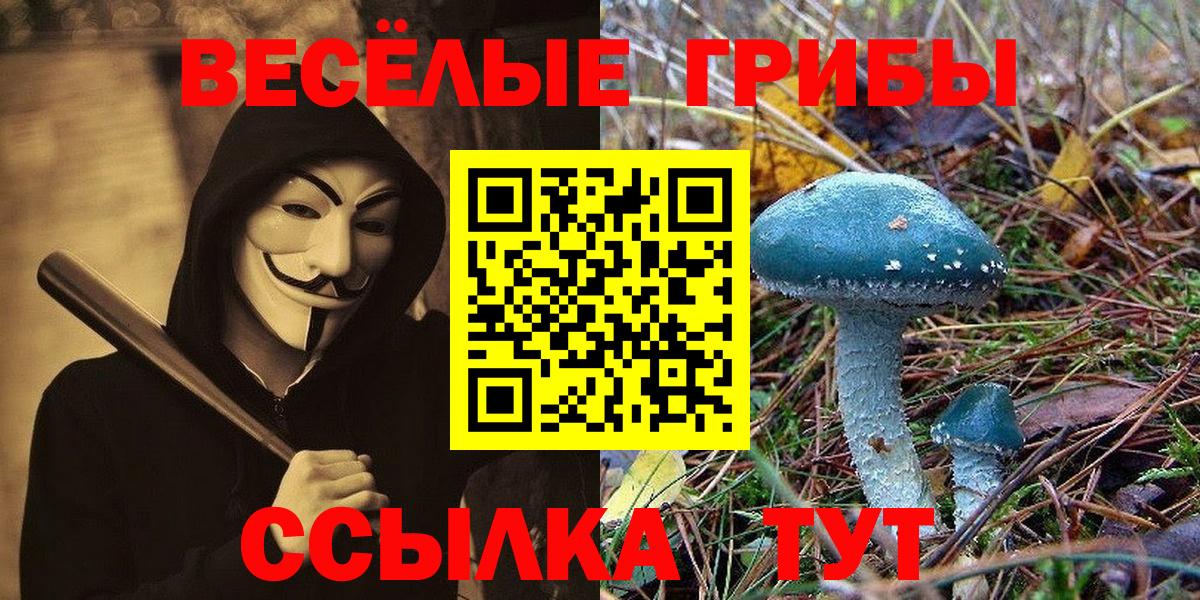 Галлюциногенные грибы MAGIC MUSHROOMS  Вход с VPN  Галлюциногенные грибы прущие грибы  где продают   Светлоград 
